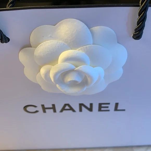 Chanel Retail and Gift Bag combo - Picture 3 of 16